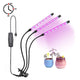 Plant Grow Light